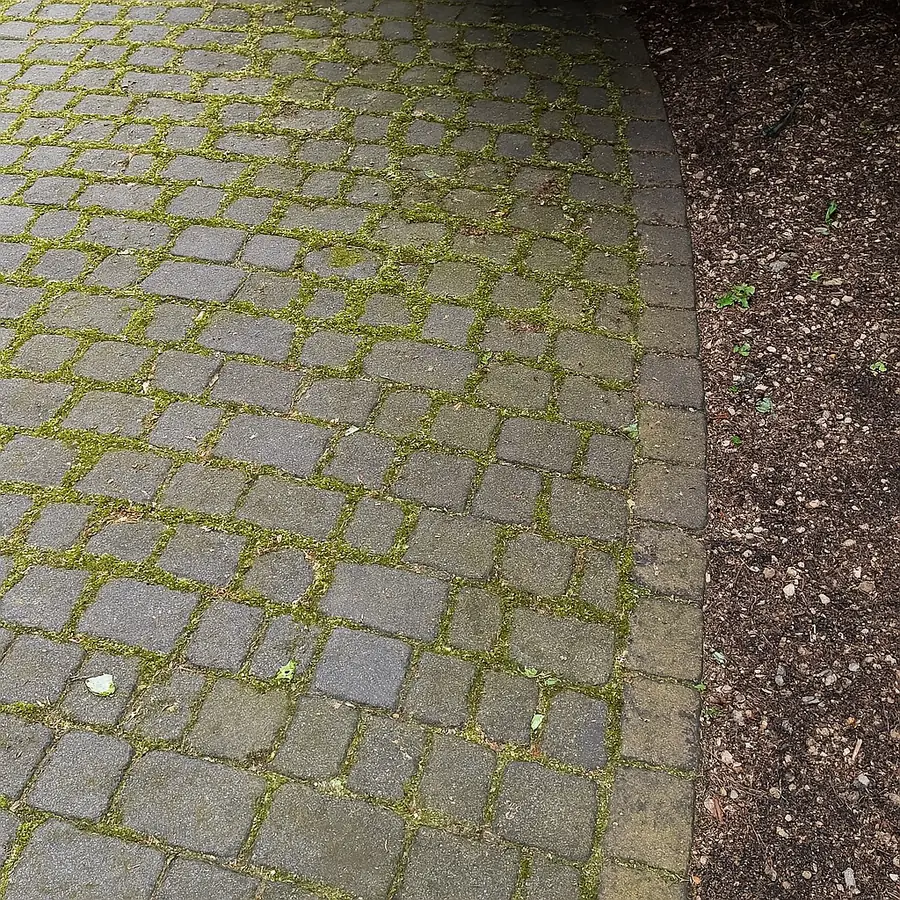 Kostka brukowa przed renowacją – widoczne zabrudzenia i porosty